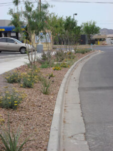 El Paso Cosmetic and Plastic Surgery Center
