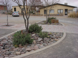 Ardovino's Desert Crossing
