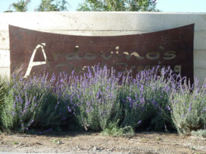 Ardovino's Desert Crossing