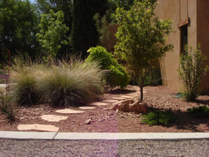 Condon Residence