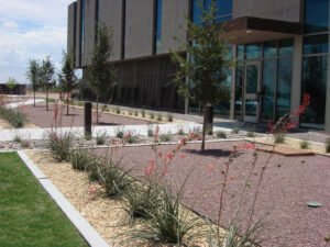 DEA Las Cruces