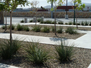 El Paso Transit Center-Downtown